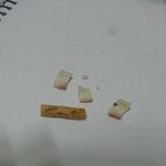 롯데 더블딥 빼빼로에 이<b>물질</b>?을 발견했어
