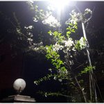 [<b>유익</b>한글] * 인생은 걸어가는 것 *