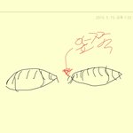 [EXO] ㅅㅂ속눈썹나만이런가?