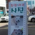 무리수지만 <b>센스</b> 돋는 광고들