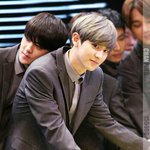 [EXO] 아 진짜 찬열이 애쉬<b>카키</b>로 다시해줘ㅠㅠ