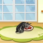[고양이] 내 <b>손안</b>의 고양이 카페!