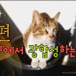 [<b>람</b>쥐] 17편 - 화분위에서 광합성하는 <b>람</b>쥐_시즌1