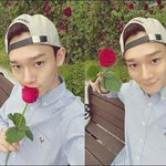 [EXO] 곡 확정이라고 기사뜬거 으르렁이랑 콜베밖에없어 ㅅㅂ
