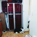 보더콜리 <b>모카</b>