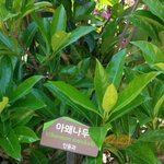 [EXO] 종대<b>나무</b> ㅇㅈ