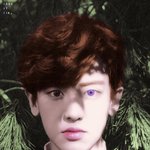 [EXO] 애들 진짜 안됐다 사생 미친것들