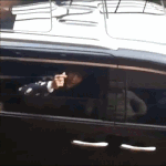 [EXO] 박찬열 <b>실체</b>