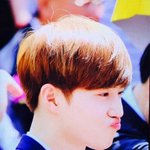[EXO] 제발 ㅅㄹ 오늘 해라