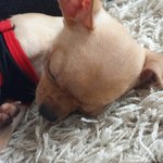 [EXO] 어깨 끈 흘러내려쨔 ㅎㅎㅎㅎㅎ기<b>야미</b>