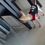 [EXO] 우리집 강아지 귀여운거 ㅇㅈ?