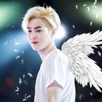 [EXO] 요즘 <b>책</b>에꽂힘