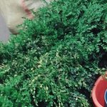 [EXO] 나 아까 재활용버리러 나갔다왔는데ㅋㅋㅋㅋㅋ