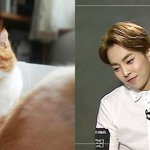 [시우민] 씽크로대박 슈<b>무룩</b> + 냥<b>무룩</b>(시우민)