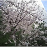 [삶의잠언] * 운을 잡는 사람들은 긍정인이었다 *