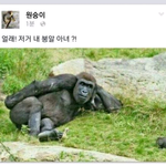 [페북강<b>말년</b>] 얼래 저거 내 붕알 아녀?
