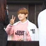 [EXO] 작년 드콘 간애들아 질문좀
