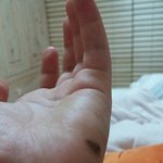 나오삼(사진있음)