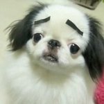 [댓글부탁해] 학교에선 친한데 밖에나가면 <b>어색</b>