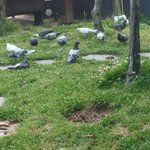 [EXO] 엑소 <b>미래모습</b> 보여줄까?