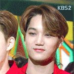 [EXO] ㅅㅂ개똥 밟았다