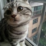 [<b>랄프</b>짱짱] <b>랄프</b>를 기억해주세요..