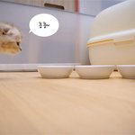 [수리<b>노을</b>] 엄마는 먹보