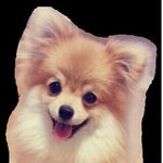 [진심개빡침] [+수정글!!!!!!!!!!!! 통화녹취록 추가]...