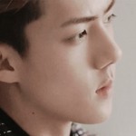 [EXO] 다른애들도 미궁 나왔으면좋겠다