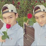 [EXO] 롯콘같이밤샘할사람
