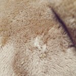 [EXO] 아 시발 좆망