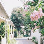 [댓글부탁] 자기 인생관같은거 잇어?<b>신념</b>이런거