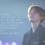 [백현] 이거비슷<b>팩트</b>라에서 퍼온건데