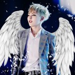 [EXO] 짹짹이에서 이거봄?