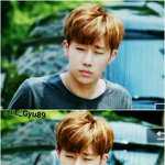 [인피니트] 울림대 빙살조 김태풍 