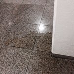 일층살아요 사람인지 개인지 계속 <b>소변</b>을 봐요