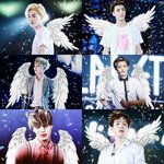 [EXO] 제발 초심잃지만 않았으면.