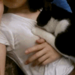 [19] 고양이 <b>사용법</b>