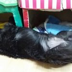 럭키의 <b>러브</b>하우스