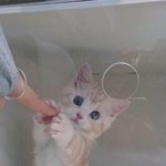 [콜로라도] 이봐요 건드렸으면 <b>책임</b>을 지세요.jpg