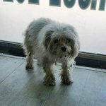 [함안길천사] 이<b>집</b><b>저집</b> 밥동냥하며 살아온 누더기 말티