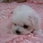우리 꿍이를 소개합니다^^