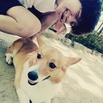 [EXO] 진짜 개보다 개같이굴자신