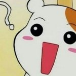 [EXO] 백현배척하는 엑겔에서 <b>현수막</b> 거는게 팩트