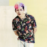 [인피니트] <b>호야</b> 할리퀸