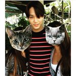 [EXO] 카이 <b>목격사진</b> 또 떴다