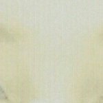 [댓글부탁해] 쌍수해야할까/사진있긔