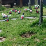 [모든팬덤] 소름끼치는 엑소의 <b>미래</b>모습