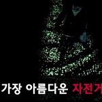 [모바일잡지] 꽁냥꽁냥 할 수 있는 장소