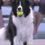 [모바일잡지] 볼보이 비켜주시고, 볼독의 시대가 온다!